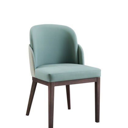 Serafina Contract Grade Modern Dining Chair